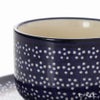 ポーリッシュポタリー（ポーランド陶器） ボレスワヴィエツ ティーカップ＆ソーサー 210ml／16cm 886／883／226A