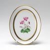アウガルテン（AUGARTEN） メドウフラワーズ（6314C） シクラメン スモールディッシュ（飾り皿） 12cm（841）