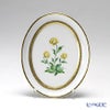 アウガルテン（AUGARTEN） メドウフラワーズ（6314D） 松葉ギク スモールディッシュ（飾り皿） 12cm（841）