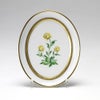 アウガルテン（AUGARTEN） メドウフラワーズ（6314D） 松葉ギク スモールディッシュ（飾り皿） 12cm（841）