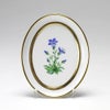 アウガルテン（AUGARTEN） メドウフラワーズ（6314E） リンドウ スモールディッシュ（飾り皿） 12cm（841）