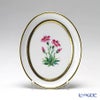 アウガルテン（AUGARTEN） メドウフラワーズ（6314N） アルパインフラワー（ピンク） スモールディッシュ（飾り皿） 12cm（841）