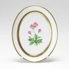 アウガルテン（AUGARTEN） メドウフラワーズ（6314P） サクラソウ（レッド） スモールディッシュ（飾り皿） 12cm（841）