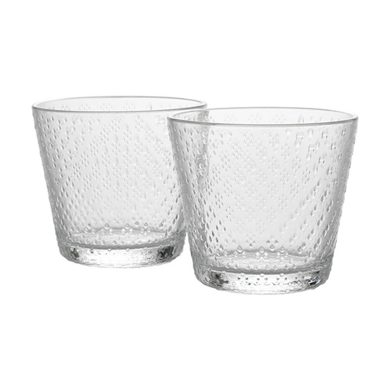 イッタラ（iittala） ツンドラ タンブラー 290ml 1065611 ペア クリア