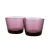 イッタラ（iittala） ツンドラ タンブラー 160ml 1070602 カルーナ ペア