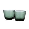 イッタラ（iittala） ツンドラ タンブラー 160ml パイングリーン 1070604 ペア