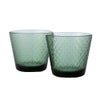 イッタラ（iittala） ツンドラ タンブラー 290ml パイングリーン 1070607 ペア