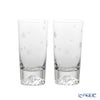 【伝統工芸】田島硝子 富士山グラス 桜切子 タンブラー 400ml TG16-015-2TS ペア【木箱入】