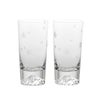 【伝統工芸】田島硝子 富士山グラス 桜切子 タンブラー 400ml TG16-015-2TS ペア【木箱入】