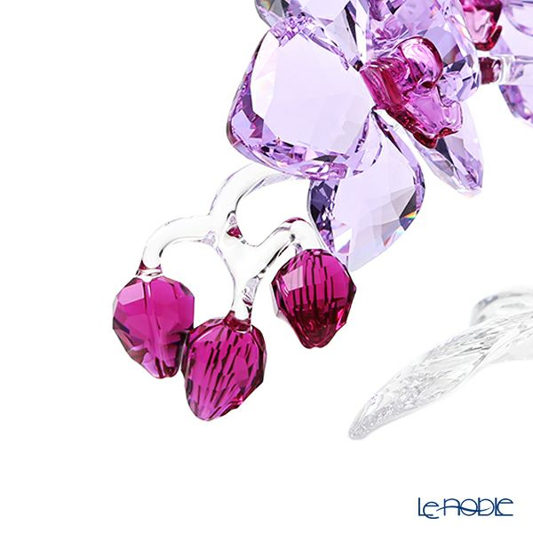 スワロフスキー オーキッド SWV5-520-373 21SS