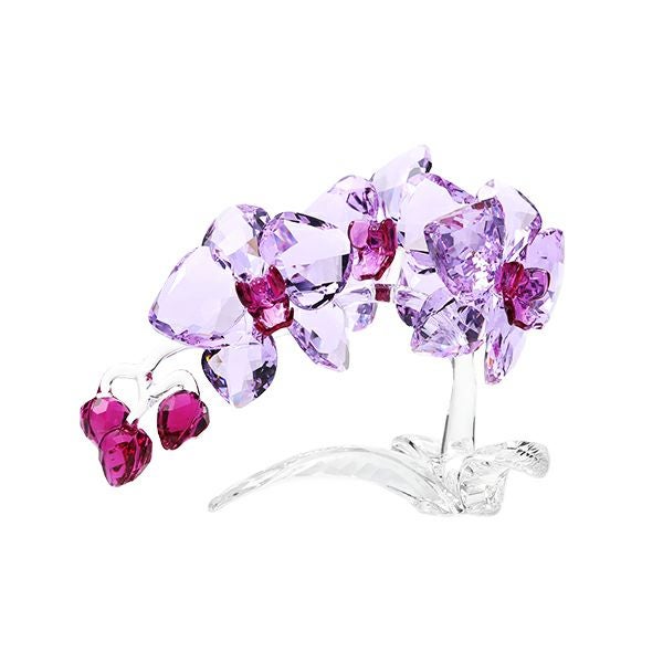 スワロフスキー オーキッド SWV5-520-373 21SS