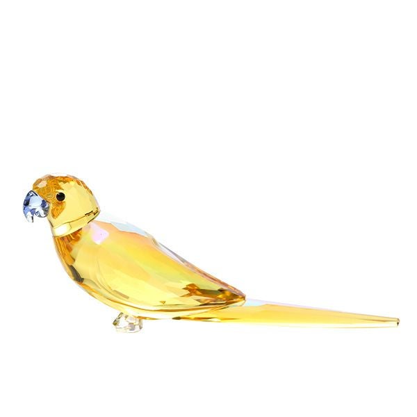 スワロフスキー Jungle Beats コンゴウインコ／オウムのカップル Bell