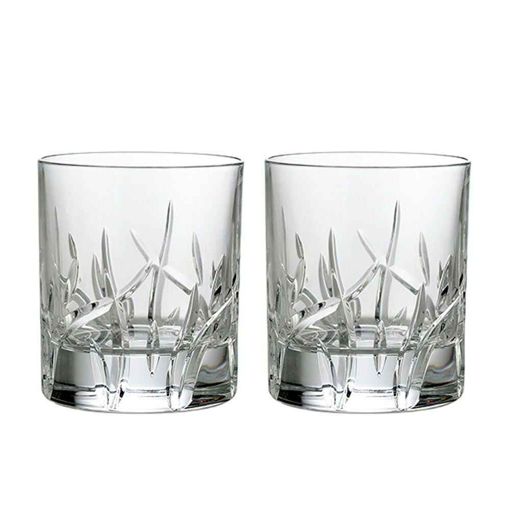 ダ・ヴィンチクリスタル ザラ オールドファッション 290ml ペア