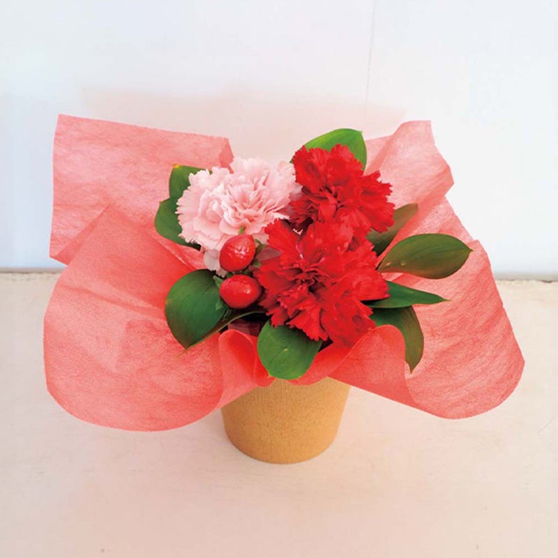 【母の日 花と暮らしギフト】 【5／6～5／10のお届け】アレンジメント イチゴミルク T-4／81028 カーネーション＆造花