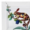 【メーカー取り寄せ商品】マイセン（Meissen）ファビュラスクリーチャー ディッシュ 18×20cm 79A448／53274