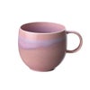 ビレロイ＆ボッホ（Villeroy＆Boch） パレモア コーラル マグカップ 315573