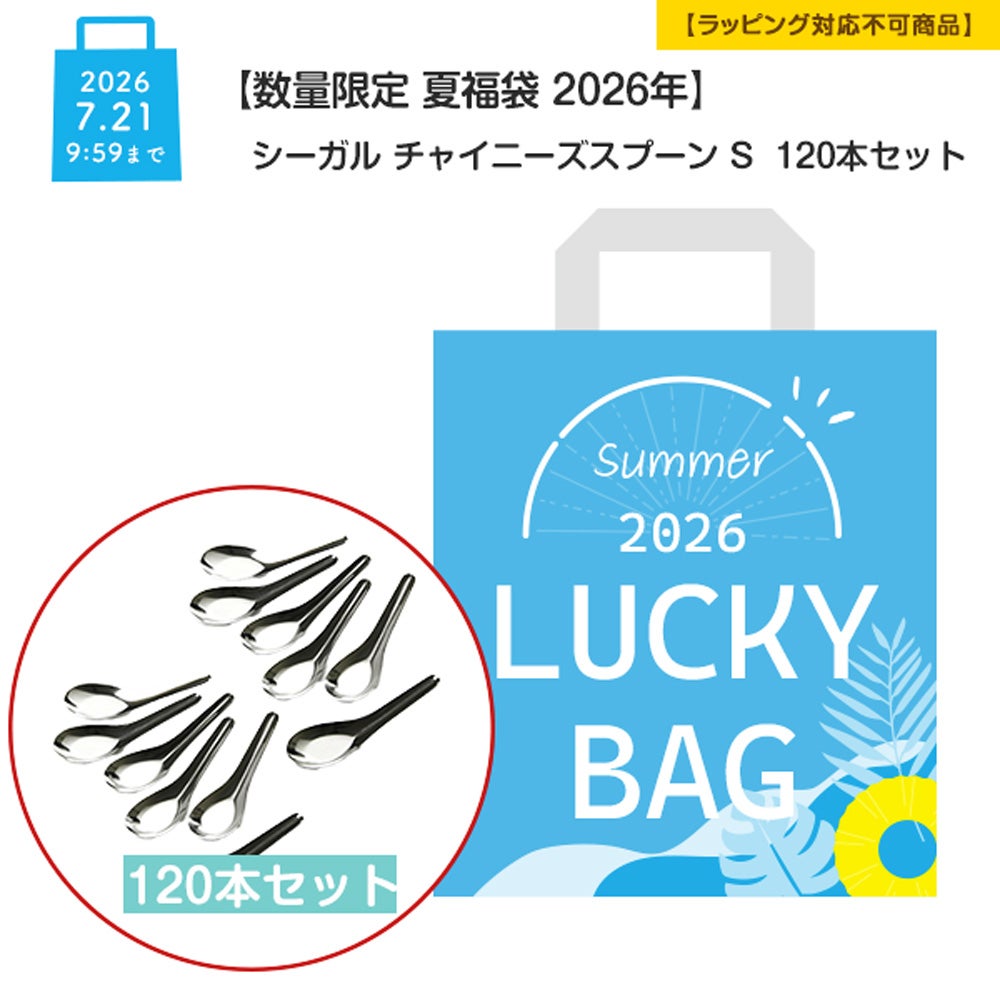 【数量限定 夏福袋 2026年】シーガル チャイニーズスプーン S 120本セット【ラッピング不可】